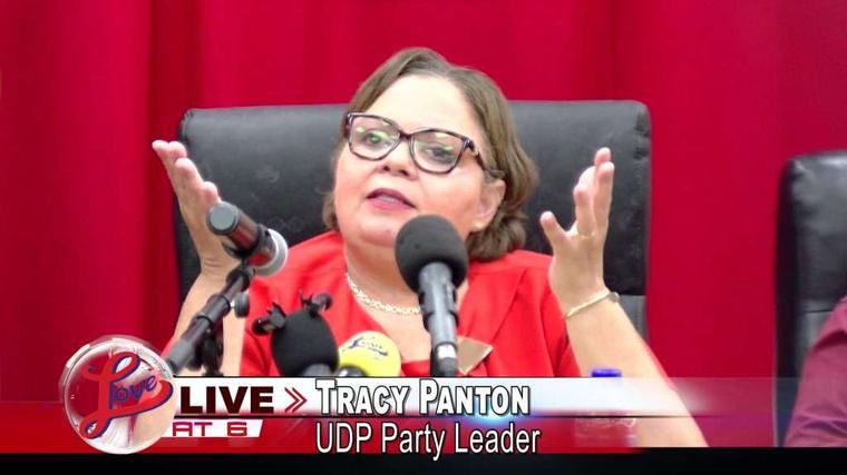 Leader of the Opposition Questions Whether Media Holds UDP to Higher Standard Than Government